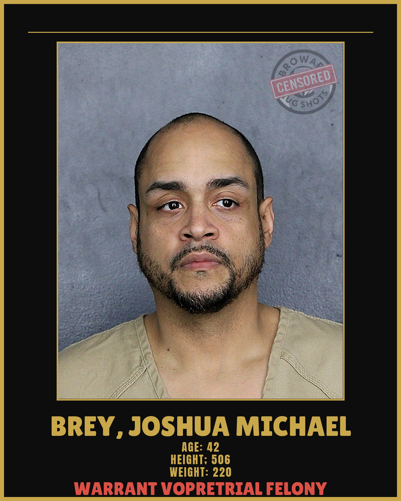 Joshua Michael Brey