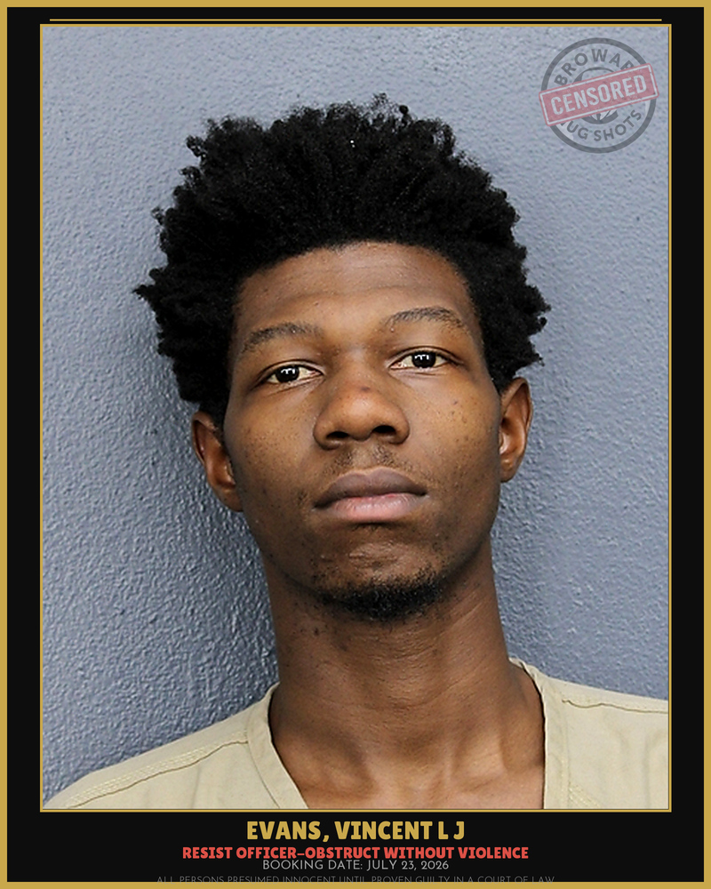 Vincent L J Evans
