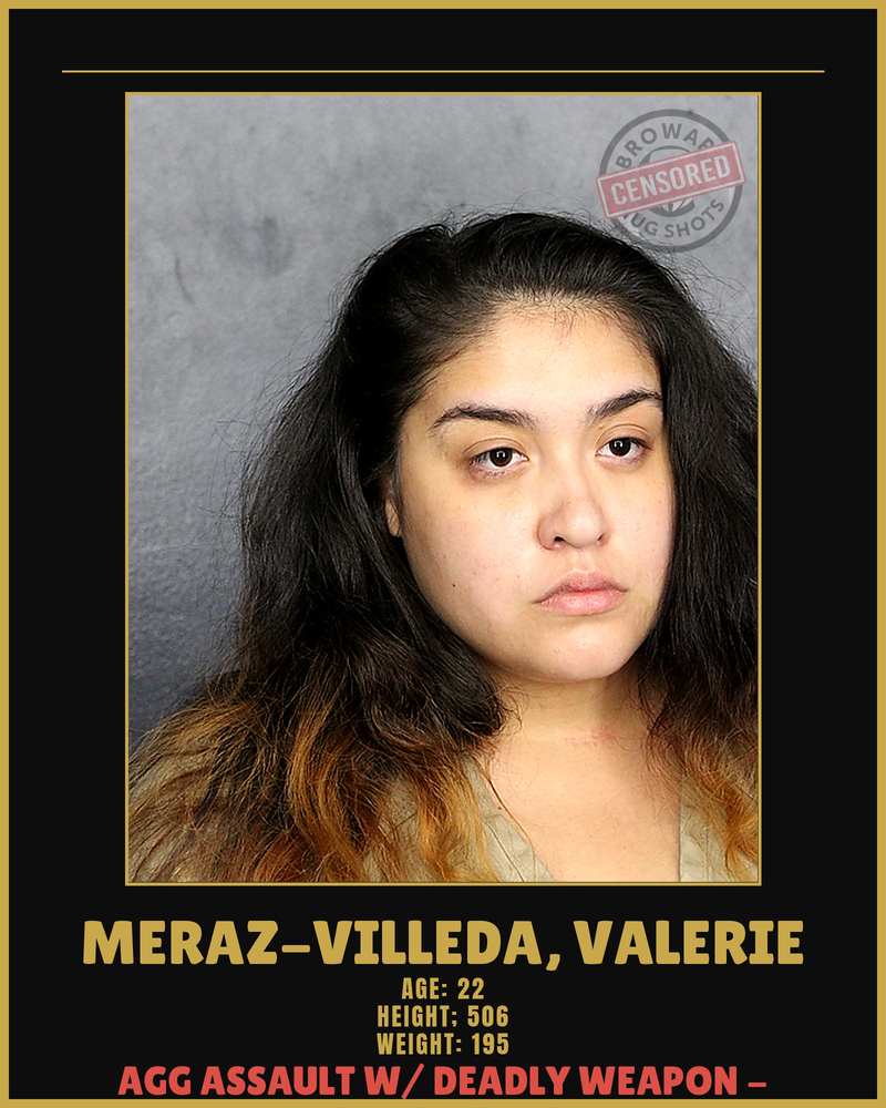 Valerie Meraz-Villeda