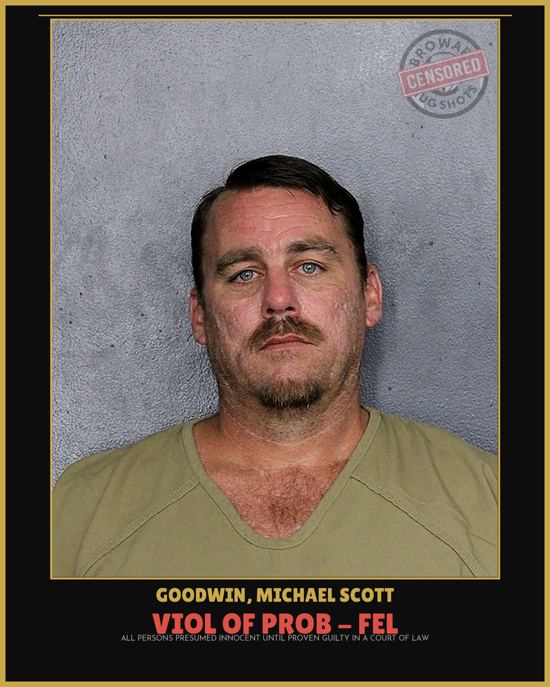 Michael Scott Goodwin