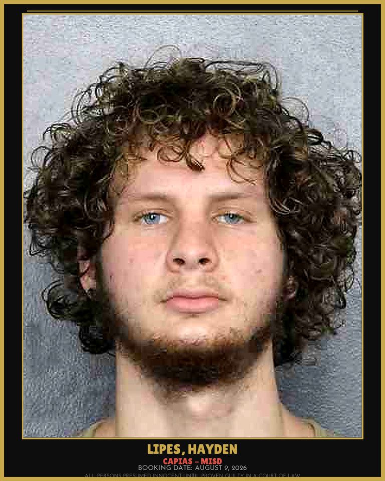 Hayden Lipes previous Broward arrest