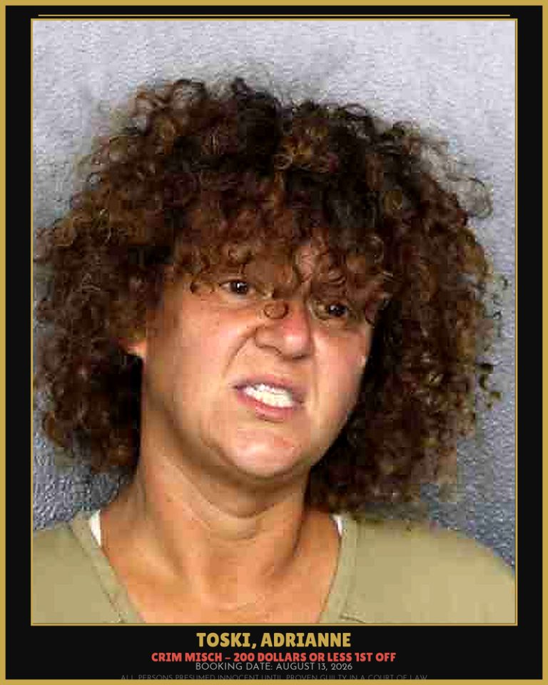 Adrianne Toski previous Broward arrest