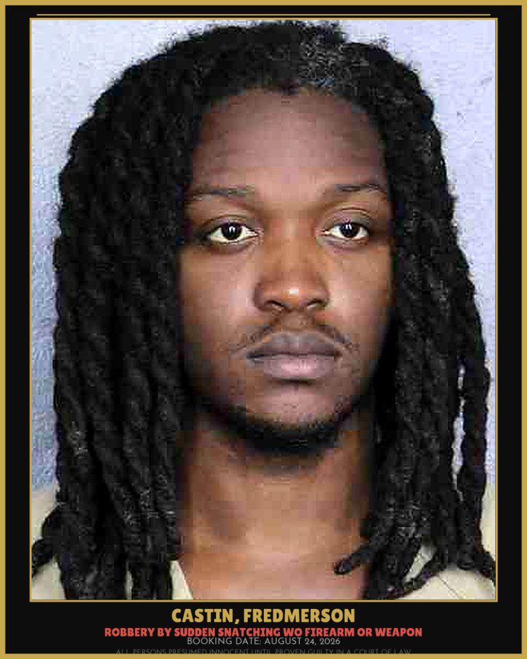 Fredmerson Castin previous Broward arrest