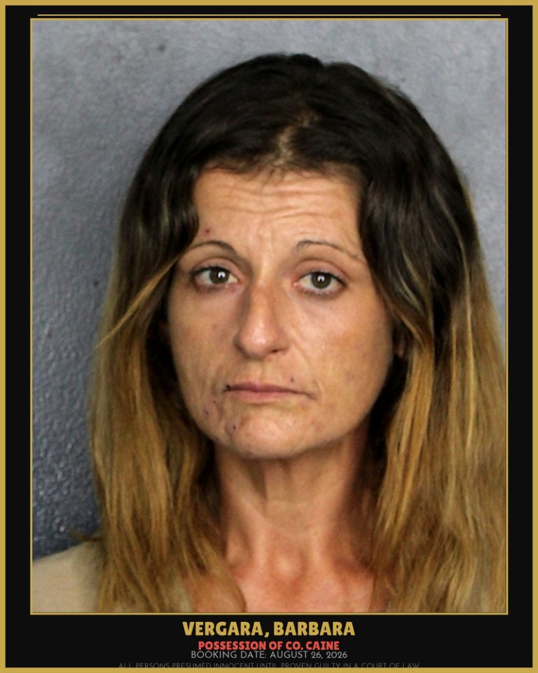 Barbara Vergara previous Broward arrest
