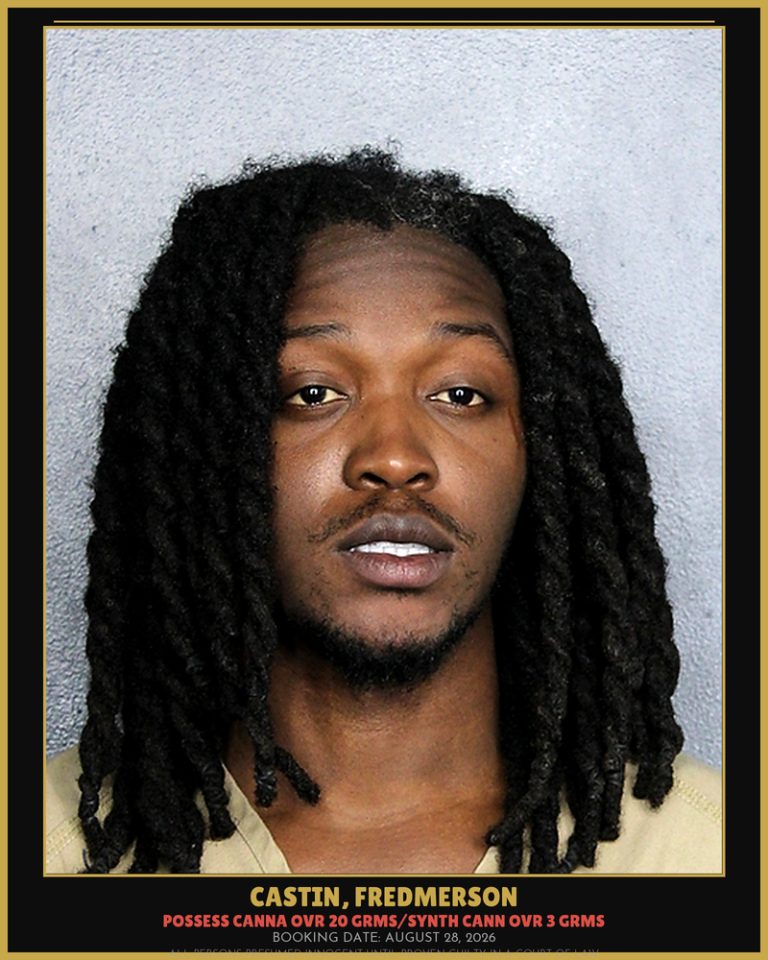 Fredmerson Castin previous Broward arrest