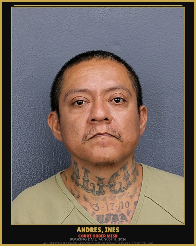 Ines Andres previous Broward arrest