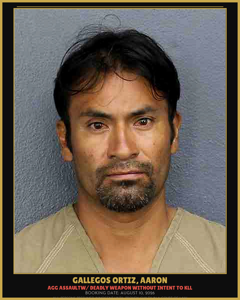 Aaron Gallegos Ortiz