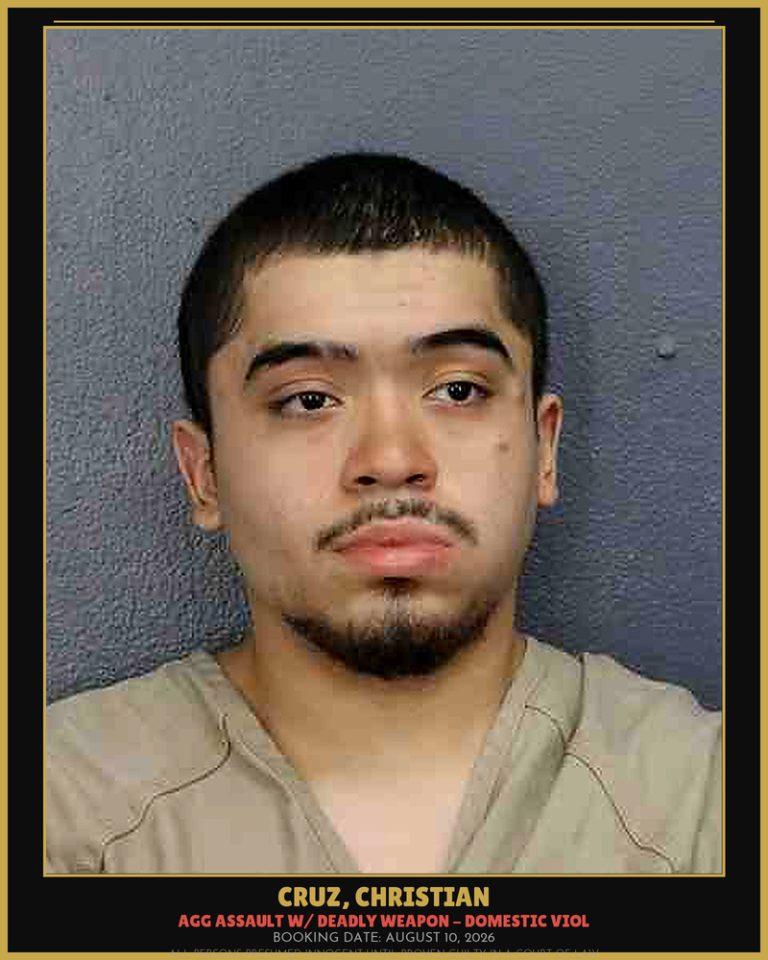 Christian Cruz previous Broward arrest