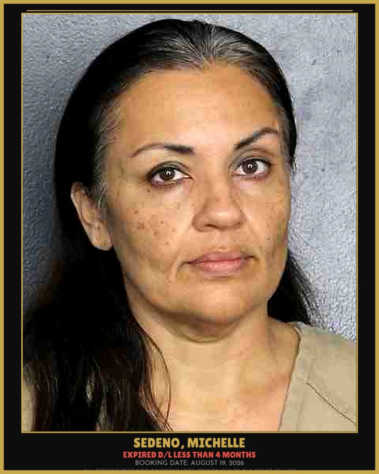 Michelle Sedeno previous Broward arrest