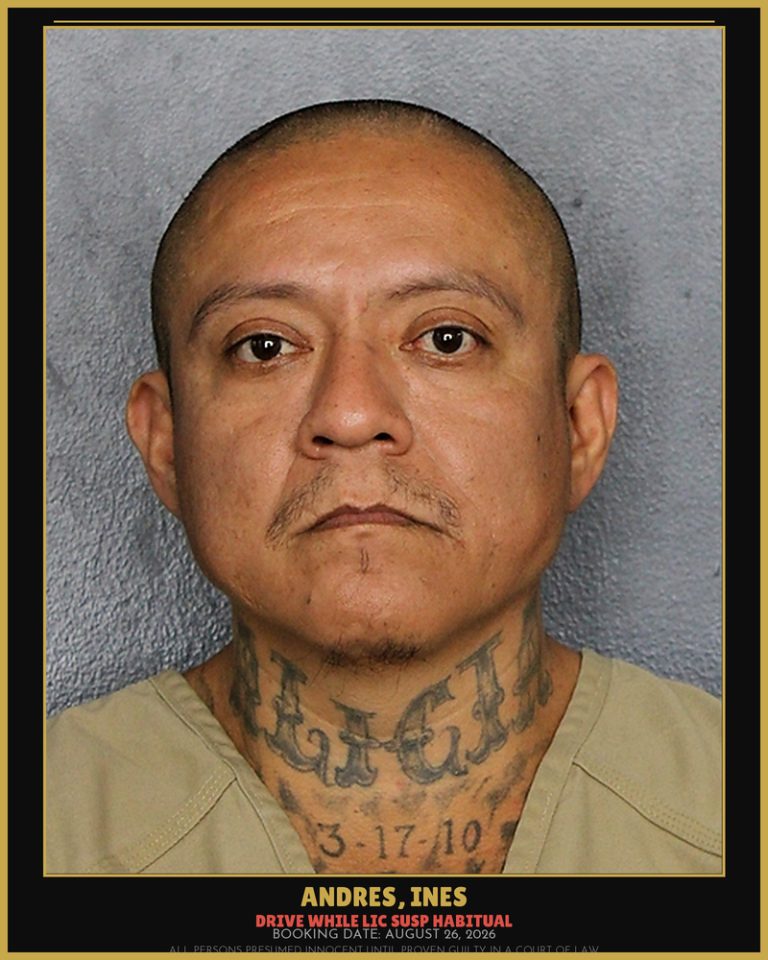 Ines Andres previous Broward arrest