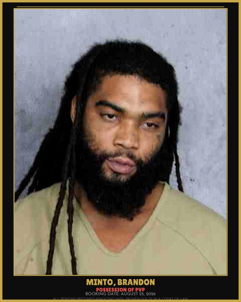 Brandon Minto previous Broward arrest