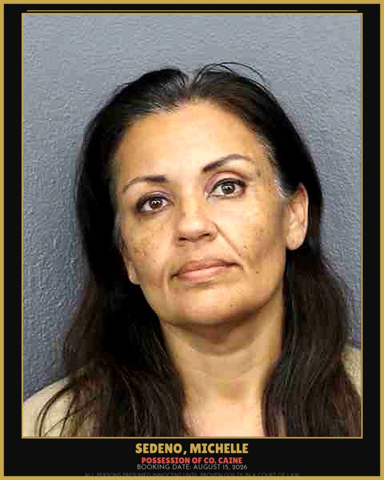 Michelle Sedeno previous Broward arrest