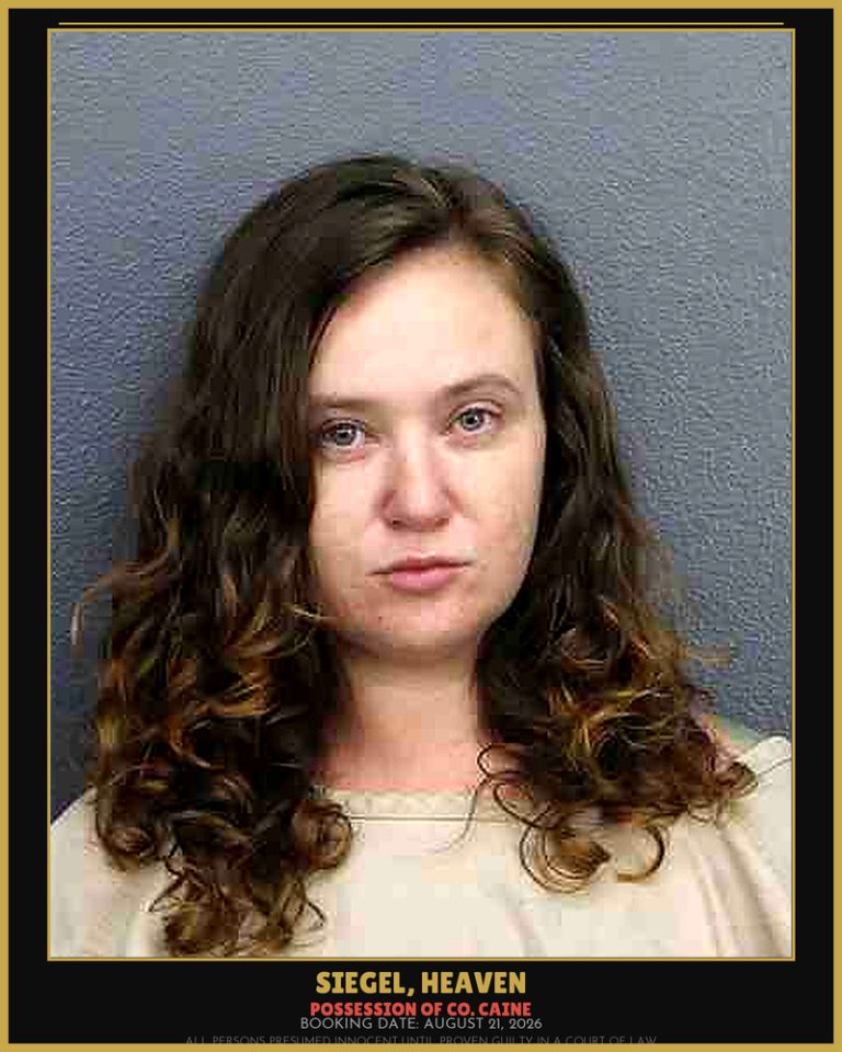 Heaven Siegel previous Broward arrest