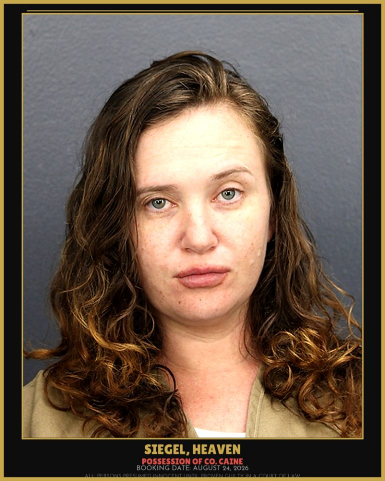 Heaven Siegel previous Broward arrest