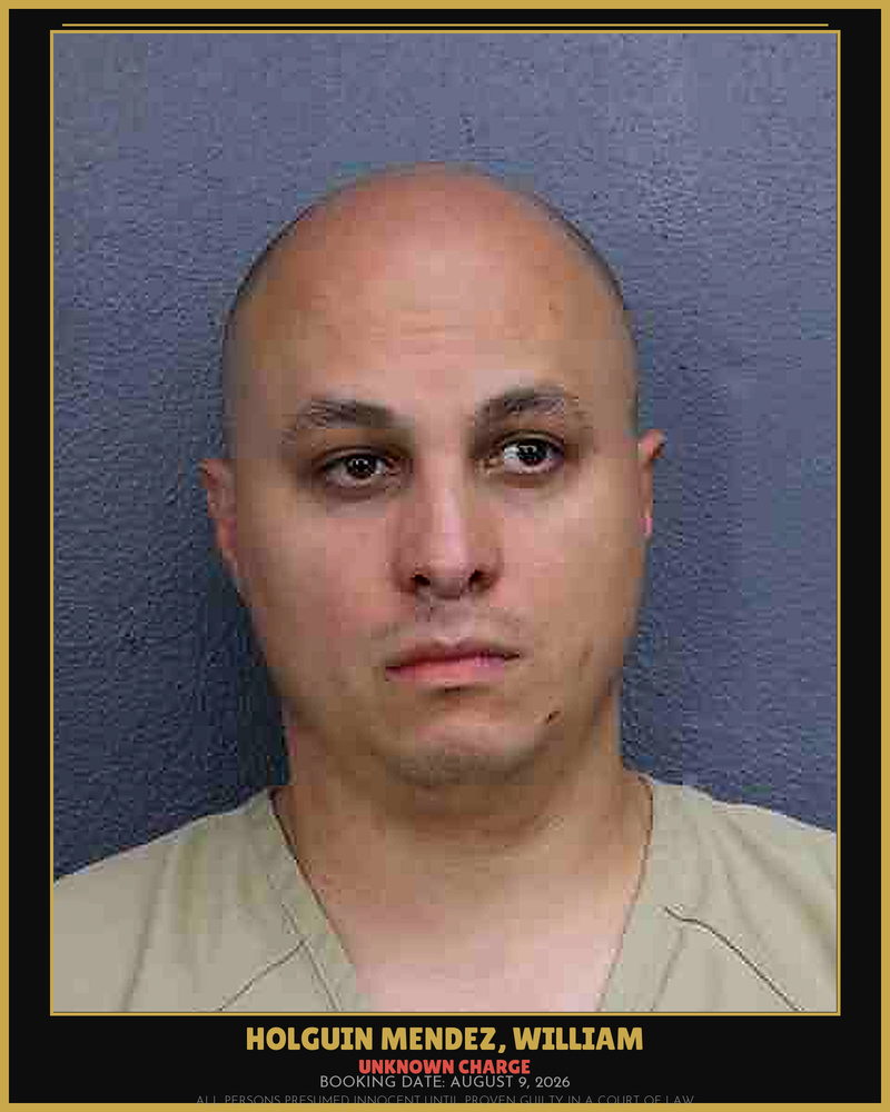 William Holguin Mendez
