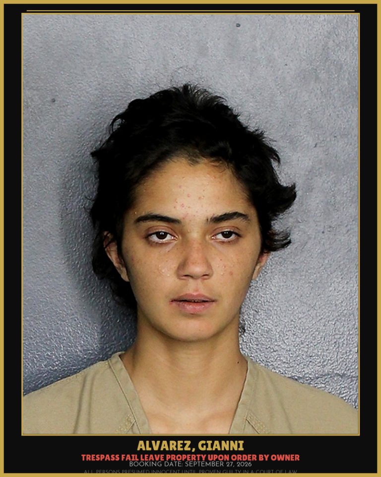 Gianni Alvarez previous Broward arrest