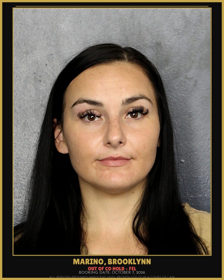 Brooklynn Marino previous Broward arrest