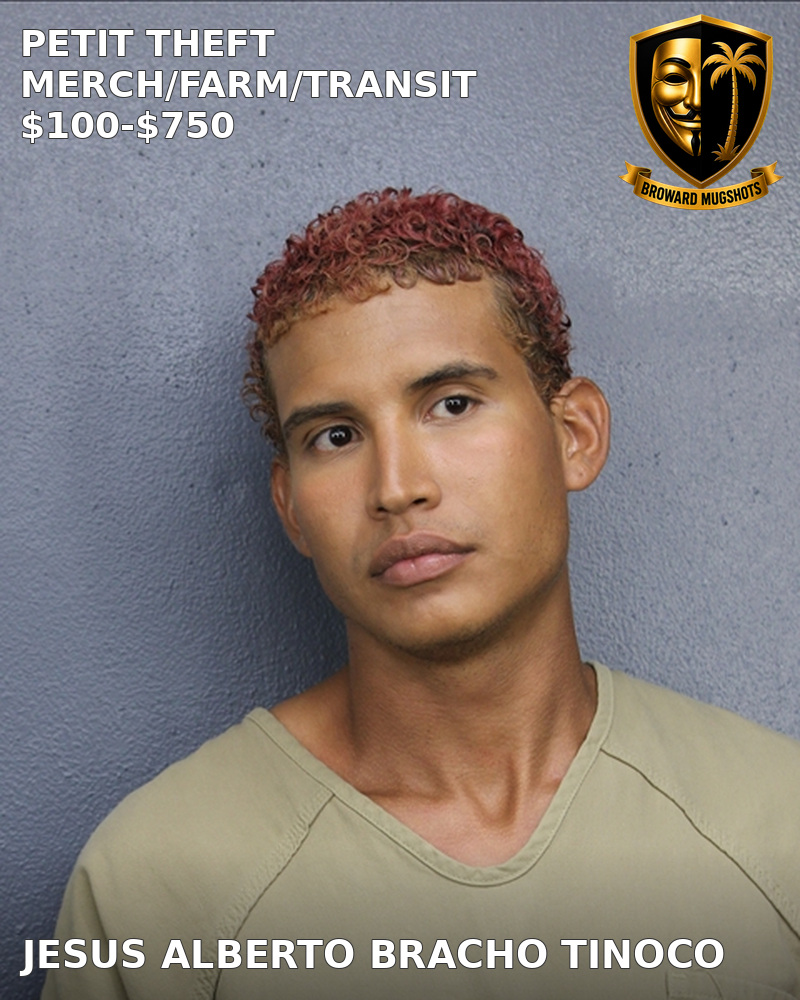 Jesus Alberto Bracho Tinoco